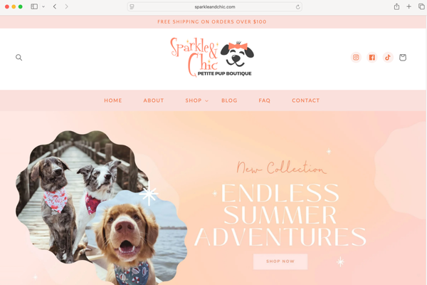 Sparkle & Chic Products